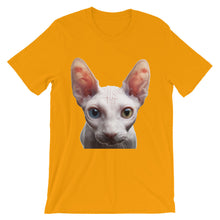 Cat t-shirt