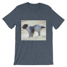 Dog t-shirt