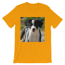 Dog t-shirt