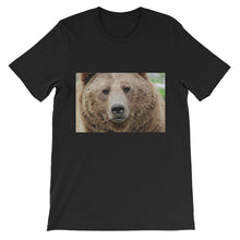 Bear t-shirt