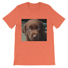 Puppy t-shirt