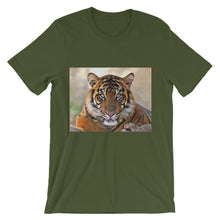 Tiger t-shirt