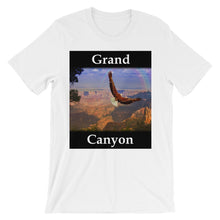 Grand Canyon t-shirt