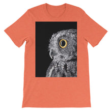 Owl t-shirt
