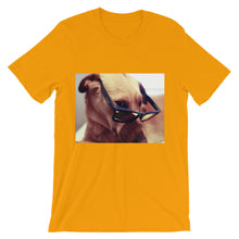 Dog with glasses t-shirt