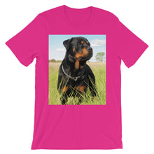Rottweiler t-shirt