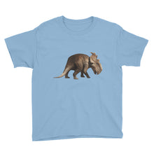 Dinosaur Youth Short Sleeve T-Shirt