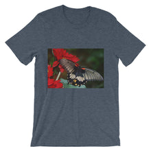 Butterfly t-shirt