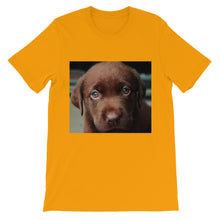 Puppy t-shirt