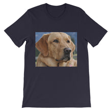 Dog t-shirt