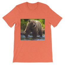 Bear t-shirt