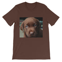Puppy t-shirt