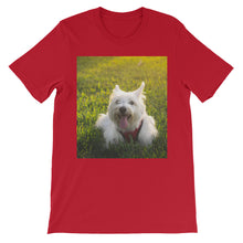 Dog t-shirt
