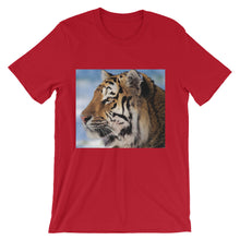 Tiger t-shirt