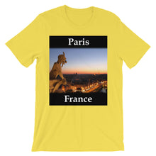 Paris t-shirt