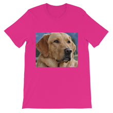 Dog t-shirt