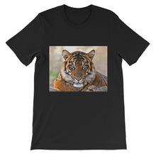 Tiger t-shirt