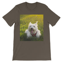 Dog t-shirt