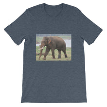Endangered Species t-shirt