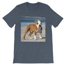 Dog t-shirt