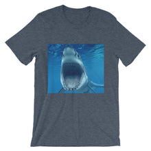 Shark t-shirt
