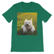 Dog t-shirt