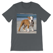 Dog t-shirt