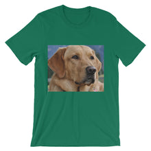 Dog t-shirt