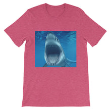 Shark t-shirt