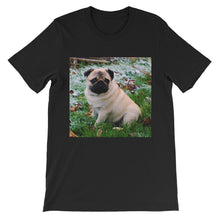 Pug t-shirt