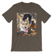 Corgi t-shirt