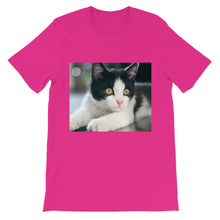 Kitten t-shirt