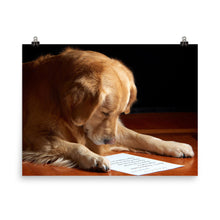 Dog Reading poster