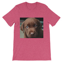 Puppy t-shirt