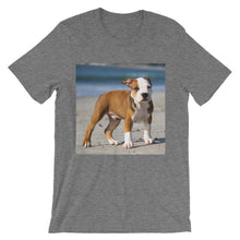 Dog t-shirt