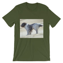 Dog t-shirt