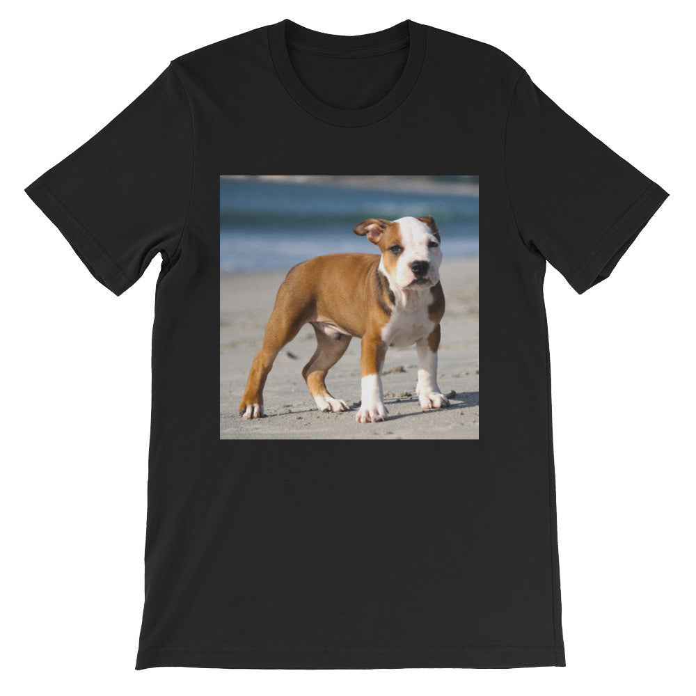 Dog t-shirt