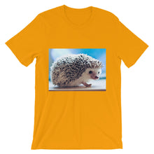 Hedgehog t-shirt