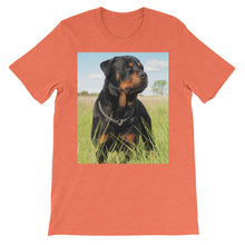Rottweiler t-shirt