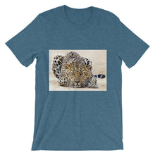 Leopard t-shirt