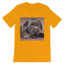 Puppy t-shirt