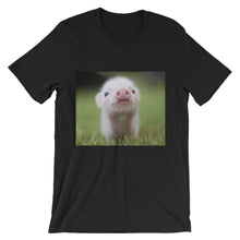 Piglet t-shirt