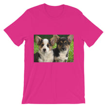 Corgis t-shirt