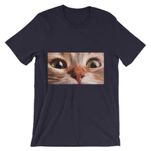 Cat t-shirt