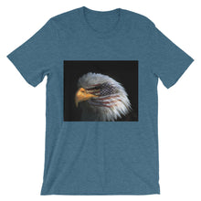 American Eagle t-shirt