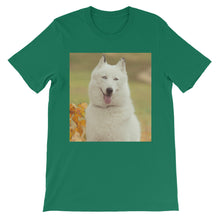 Dog t-shirt