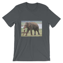 Endangered Species t-shirt