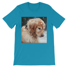 Dog t-shirt