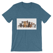Dog Family Reunion t-shirt