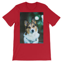 Corgi t-shirt
